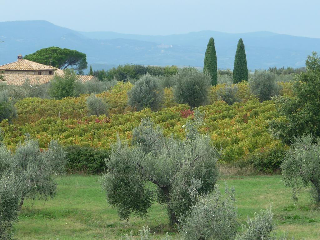 Castel Brunello Montalcino Exterior photo